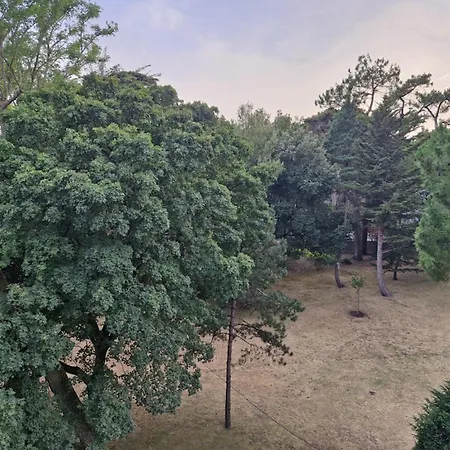Confort Pour 4 à 300m De La Appartement